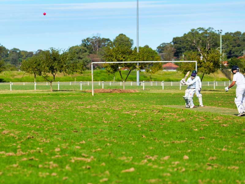 NSW Sports Multicultural Association