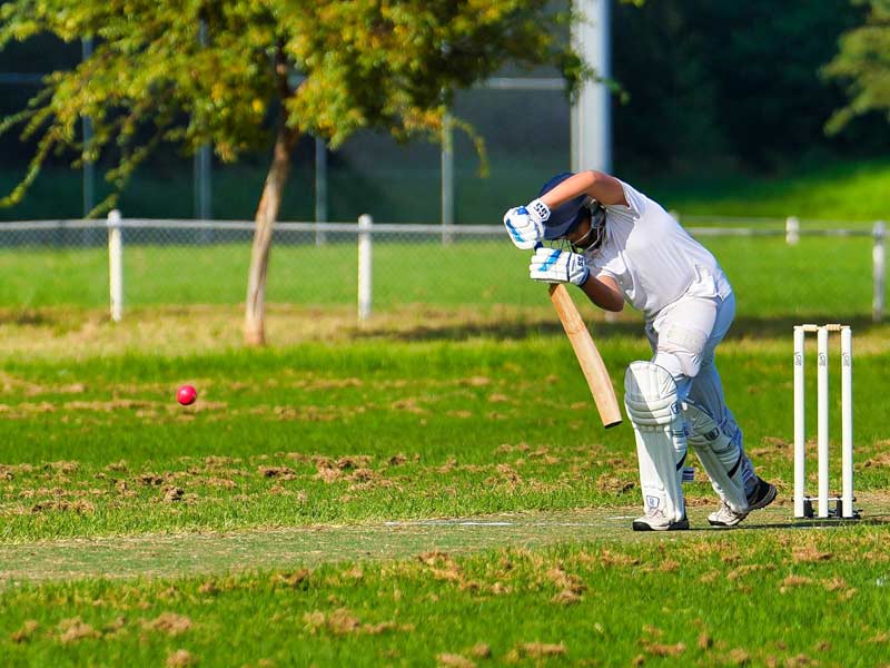 NSW Sports Multicultural Association