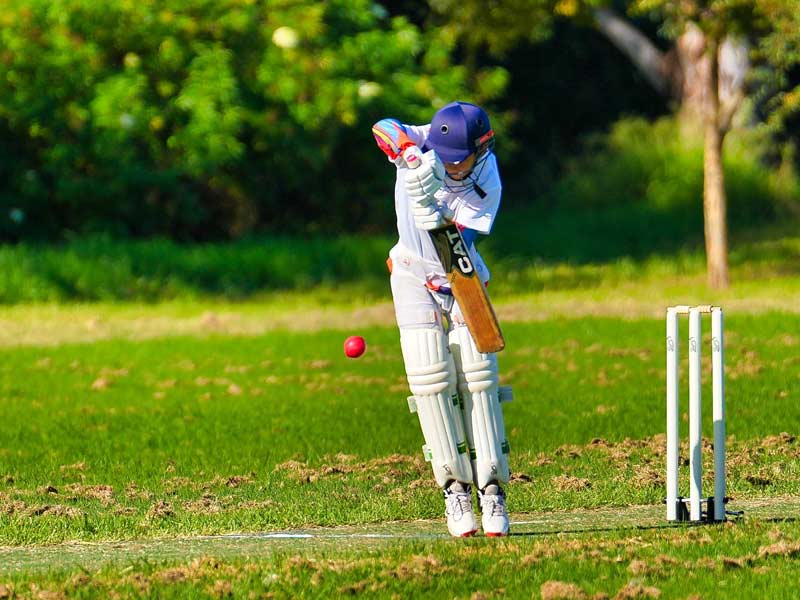 NSW Sports Multicultural Association