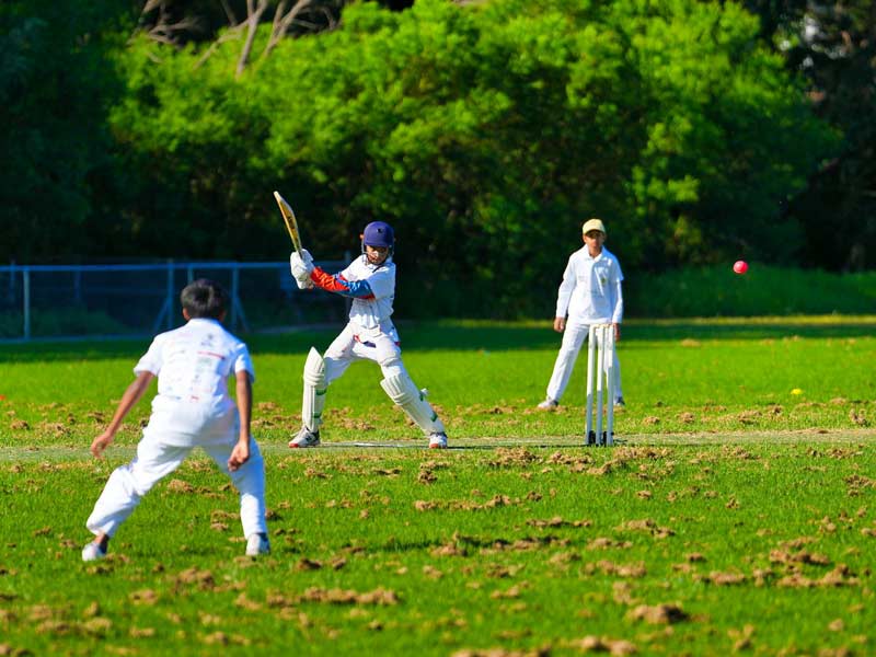 NSW Sports Multicultural Association