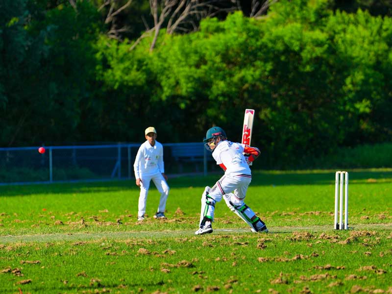 NSW Sports Multicultural Association