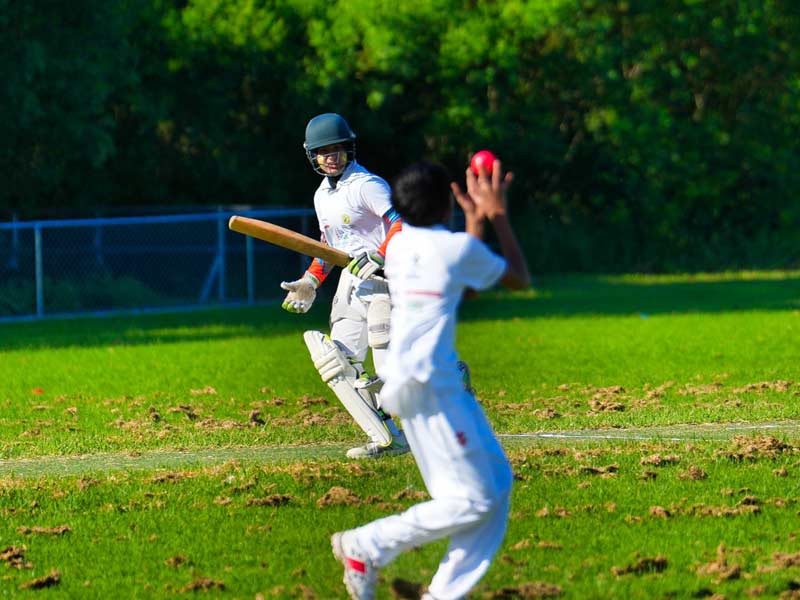 NSW Sports Multicultural Association